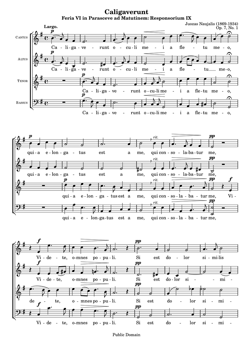 Naujalis Caligaverunt Piano Sheet Music Page 1 Free PDF