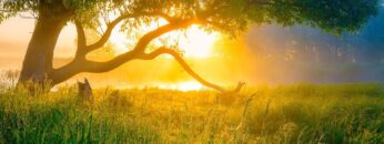 Beautiful Relaxing Guitar Hymns, Peaceful Instrumental Music