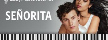 Señorita –  Shawn Mendes, Camila Cabello