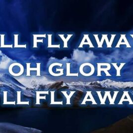 I’ll Fly Away