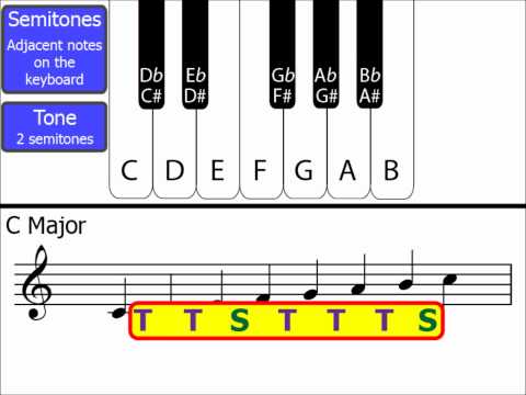 Tones and Semitones (Whole and Half Steps): A Comprehensive Guide to Music Theory