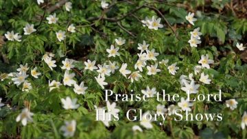 Praise the Lord His Glories Show